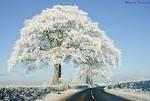 Severe Winter 2010/2011 portfolio